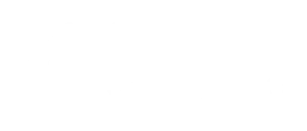 nettoImmo-Logo